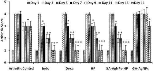 Figure 3. Effect of Indo (5 mg/kg), Dexa (0.5 mg/kg), HP (25 mg/kg), GA-AgNPs-HP (1 mg/kg) and GA-AgNPs (1 mg/kg), on arthritic score in CFA induced arthritic rats. The bar diagram represents arthritic score (y-axis) measured on alternate days (x-axis) in different treatment groups (n = 3–5 rats per group). Asterisks indicate the significance difference at *p < .05; **p < .01 and ***p < .001 with respect to control.