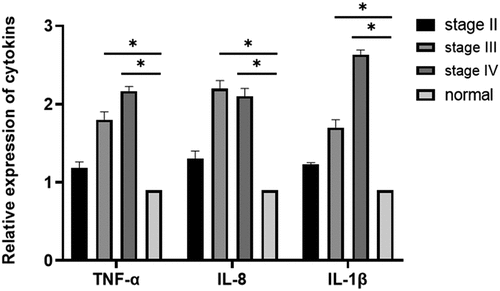 Figure 4. Determination of the expression levels of IL-1β, IL-8, and TNF-α in breast cancer tissues and adjacent normal tissues using qRT-PCR (P < 0.05). Relative expression levels of TNF-α, IL-8, and IL-1β in middle-stage (stage III) and late-stage (stage IV) breast cancer compared with those in normal adjacent tissues (*P < 0.05).