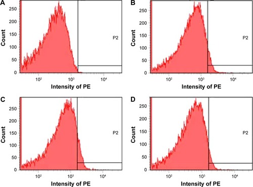 Figure 6 Depression of P-selectin expression by rosmarinic acid.Notes: (A) Unlabeled platelets (background). (B) PE-anti-CD62P-labeled platelets. (C) PE-anti-CD62P-labeled and AA-activated platelets without rosmarinic acid. (D) PE-anti-CD62P-labeled and AA-activated platelets with 1 μM of rosmarinic acid. P2, a high fluorescence intensity area in which there is no fluorescence in NS group.Abbreviations: AA, arachidonic acid; NS, normal saline; PE, phycoerythrin.