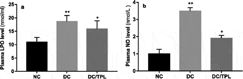 Figure 1. Effect of diabetes and tempol treatment on the LPO (lipid peroxides) (a) and NO(nitric oxide) (b) levels in the plasma of normal control rats (NC) and treated group (NC: normal control; DC: diabetic control; DC/TPL: diabetic rat treated with tempol after 8 weeks of post-diabetes induction. Values are presented as means ± SD of six (n = 6) rats in each group. Significant differences: DC, DC/TPL versus NC group (**p < 0.01; *p < 0.05).
