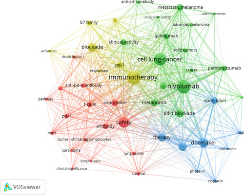 Figure 5 Keywords co-occurrence network visualization of the 100 most frequently cited publications.