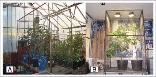 Figure 7 Electromagnetically isolated Faraday cages (A in greenhouse; B in laboratory).