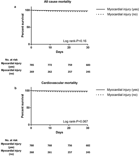 Figure 2. Kaplan–Meier curves for 30-day (a) all-cause and (b) cardiovascular mortality in the myocardial injury vs. no myocardial injury group