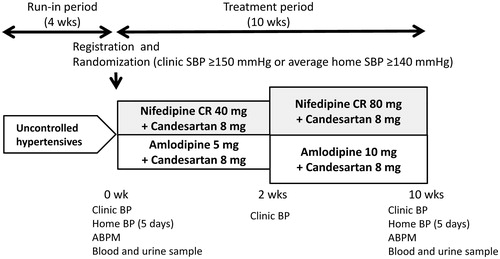 Figure 1. Study design. Uncontrolled hypertensive patients who were treated with two or more antihypertensive drugs with the usual dose of a renin-angiotensin system inhibitor and a calcium channel blocker were registered in this study. Abbreviations: SBP, systolic blood pressure; ABPM, ambulatory blood pressure monitoring.