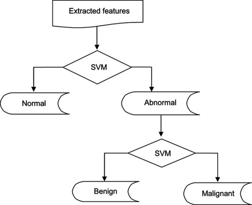 Figure 1 Two-level classification approach using support vector machine (SVM).