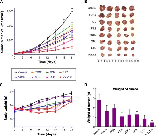 Figure 7 Therapeutic efficacy in A549/T tumor-bearing mice (n=5 per group).Notes: Eight groups of drugs and formulations were injected intravenously into the lateral tail vein of each mouse at a VCR dose of 1.0 mg/kg on days 0, 3, 6, and 9. (A) Tumor growth curves for different groups with various treatments. (B) Photographs of the tumors collected from different groups of mice at the end of treatments (day 21). (C) Change in average body weight in mice with various treatments. (D) Average weights of tumors in each treatment group on day 21. The standard deviation is presented in error bars.Abbreviations: VCR, vincristine; QN, quinine; FVCR, free vincristine; FQN, free quinine; F1:2, free vincristine + free quinine =1:2; VCRL, VCR liposome; QNL, QN liposome; L1:2, VCR liposome + QN liposome =1:2; VQL1:2, VCR and QN codelivery liposome with a ratio of 1:2.