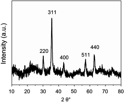 Figure 4 X-ray diffraction (XRD) spectra of the polymer-grafted magnetic silica nanoparticles.