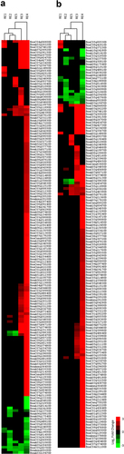Figure 4. Heat map depiction of differentially expressed genes following GO-term association. Heat maps display expression differences relative to control between RE1–5 based on (a) “non-developmental growth” (GO:0048590; # of genes assessed) and (b) “Abscisic acid-activated Signaling pathway” (GO:0009738/GO:0009787) and “water deprivation” (GO:0048590; # of genes assessed). A unique gene list was used based on all up- and down-regulated genes with the absolute value of Log¬2 fold change ≥ 2.
