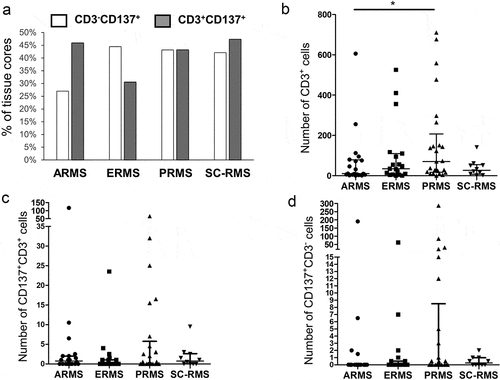 Figure 1. CD137 expression in RMS tissue cores. (a) Percentages of tissue cores with CD137 expression among different types of RMS. Number of (b) CD3+ T cells, (c) CD3+CD137+ T cells and (d) CD3−CD137+ cells in different types of RMS. Each symbol represents one patient. Lines represent medians and bars represent interquartile ranges. * p < .05 using Mann Whitney test. ARMS: alveolar rhabdomyosarcoma, ERMS: embryonal rhabdomyosarcoma, PRMS: pleomorphic rhabdomyosarcoma, SC-RMS: Spindle cell-rhabdomyosarcoma