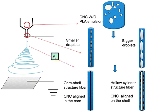 Figure 11. Schematic of emulsion preparation and electrospinning of CNC−poly(lactic acid) (PLA) emulsions. Modified from Ref. [Citation107], with permission from American Chemical Society (© ACS 2013).