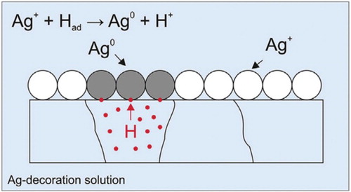 Figure 9. Mechanically polished specimens for the silver reduction and decoration method are immersed into a chemical solution containing silver ions [Citation11]. In a redox reaction the silver ions are then locally replaced by evading hydrogen atoms so that Ag is deposited, thereby marking the regions of enhanced hydrogen concentration. ‘Reproduced with permission from Acta Mater., 109, 69 (2016). Copyright 2016, Elsevier’.