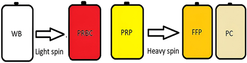 Figure 1 Preparation of Platelet Concentrate using plasma-rich platelet-platelet concentrate (PRP-PC): PRP-PC preparation starts with whole blood centrifugation at light spin (1500 rpm for 5 min at 22°C), removes PRP into a storage bag, then takes the PRP bag and centrifuge it a heavy spin (5000 rpm at four °C). After that, fresh frozen plasma (FFP) is removed into different bags and resuspended to prepare the platelet concentrate for storage.