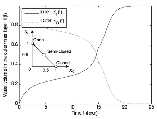 Figure 10 Illustration of the reopening process. Electrochemical force drives the water dynamics across the semi-closed state (XI, XO) = (0.5, 0.5) in 15 hours. Then the Flytrap transits from semi-closed state (XI, XO) = (0.5, 0.5) to open state (XI, XO) = (1, 0) in 8 hours. The maximum opening speed occurs in the neighborhood of the semi-closed state. The opening speed significantly decreases in the final 2 hours.