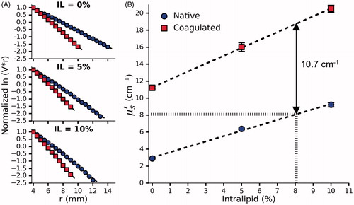 Figure 6. (A) Normalized ln⁡(V·r) vs r for a single set of phantoms doped with 0%, 5% and 10% Intralipid, 0.144% Naphthol Green B and 31.4% BSA. (B) The effect of Intralipid and BSA concentration on μs′ before and after coagulation measured in 3 sets of phantoms. By interpolation, the requisite concentration of Intralipid was found to be 8.06%. Error bars represent one standard deviation and are not visible at all points.