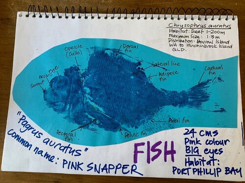 Figure 2. Dissecting fish bodies. Source Author: Karen Malone.