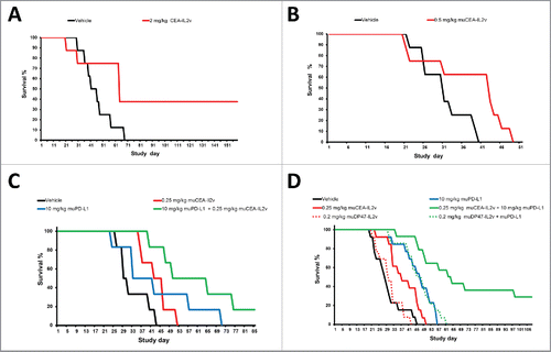 Figure 5. (A, B) Monotherapy efficacy: (A) Efficacy of 2 mg/kg CEA-IL2v (q1w3 starting on day 7 after tumor inocculation) as single agent in the syngeneic intrasplenic MC38-CEA model in CEA-transgenic C57/BL6 mice. (B) Efficacy of 0.5 mg/kg muCEA-IL2v (q1w3 starting on day 7 after tumor inocculation) as single agent in the syngeneic orthotopic PancO2-CEA model in CEA-transgenic C57/BL6 mice. (C, D) Combination of CEA-IL2v with PD-L1 checkpoint blockade in syngeneic models in CEA-transgenic C57BL/6 mice. (C) Efficacy of 0.25 mg/kg muCEA-IL2v (q1w5) combined with 10 mg/kg <muPD-L1> antibody 6E11 (q1w5) concomitantly starting on day 7 vs. vehicle and the respective monotherapies in the orthotopic PancO2-CEA pancreatic syngeneic model. (D) Efficacy of 0.25 mg/kg muCEA-IL2v or a matched dose of 0.2 mg/kg untargeted muDP47-IL2v control immunocytokine (q1w4) combined with 10 mg/kg <muPD-L1> antibody 6E11 (q1w4) concomitantly starting on day 7 vs. vehicle and the respective monotherapies. Pooled data from two independent studies are shown.
