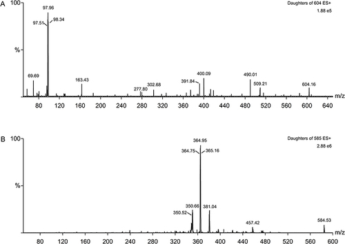 Figure 2 Mass fragmentation pattern of adagrasib (A) and Lapatinib-d4 (B).