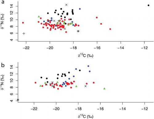 Figure 2. δ13C and δ15N values of suspension/filter feeders (Display full size, red circles), deposit feeders/grazers (Display full size, blue circles), predators (•, black circles), omnivores (Display full size, green triangles) and unknown feeding type specimens (×) in the Mingulay 01 area (a) and the Logachev 02 mound (b) in the northeast Atlantic. Average δ13C and δ15Ν values of surface (+) and bottom (*) suspended particulate organic matter in the Mingulay were found in table 5 in Duineveld et al. (Citation2012) while average δ15N value of bottom suspended particulate organic matter in southeast Rockall Bank was found in table 2 in Duineveld et al. (Citation2007). Please note that the δ13C signatures of either surface or bottom suspended particulate organic matter at the southeast Rockall Bank are not available.