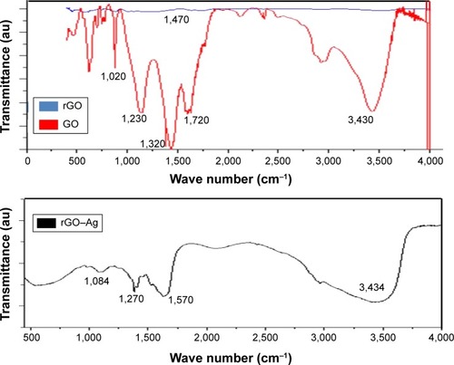 Figure 3 Fourier transform infrared (FTIR) spectra of graphene oxide (GO), reduced graphene oxide (rGO), and rGO–Ag nanocomposite.Notes: Dried powders of GO, rGO, and rGO–silver nanoparticle (AgNP) nanocomposite were diluted with KBr to perform FTIR spectroscopy and spectrum GX spectrometry within the range of 500–4,000 cm−1.