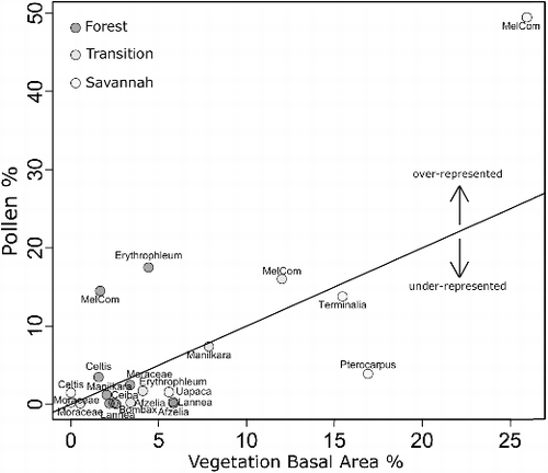 Figure 7. Scatter plot of vegetation basal area % against pollen abundance %. Taxon names are as in the text, except Melastomataceae/Combretaceae, which is abbreviated to ‘MelCom’. The R-rel = 1 line is added to illustrate those taxa that are over-represented in the pollen compared to the vegetation (above the line), against those which are under-represented (below the line).