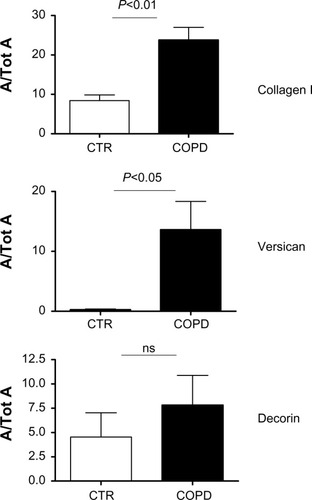 Figure 2 Area of positive staining of the proteins in the subepithelial layer standardized for total subepithelial area (A/Tot A) for collagen I, versican, and decorin in biopsy specimens from CTR and COPD subjects.