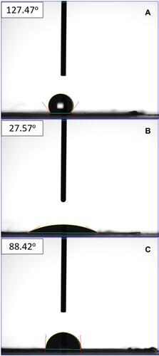 Figure 3 Wetting angles of (A) pure PLGA membrane, (B) PLGA:simvastatin 1:1 membrane, and (C) PLGA:simvastatin 2:1 membrane.