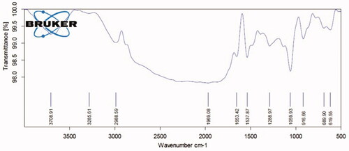 Figure 3. Analysis of Houttuynia cordata crude extract using FTIR.