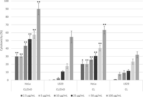 Figure 7. Comparative analysis of the cytotoxic effects of CL/ZnO nanoparticles and CL on HeLa (cervical cancer) and L929 (fibroblast) cells after 48 hours of treatment. Cytotoxicity was quantified as percentages relative to untreated controls. Data are represented as mean ± standard error (SE) from three independent experiments, each conducted in triplicate. Comparative analyses were performed with Welch’s t-test. Statistically significant differences within cell types are indicated by asterisks, with *p ≤ 0.05 and p ≤ 0.01 denoting levels of significance.