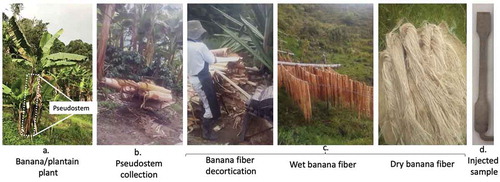 Figure 4. Some stages of biocomposite lid manufacture from banana fibre source