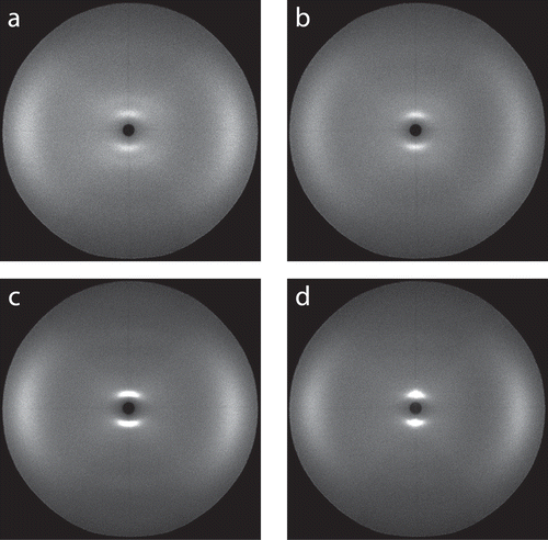 Figure 2. Unmodified X-ray scattering patterns obtained from (a) 5CB, (b) 6CB, (c) 7CB, (d) 8CB recorded at the lowest respective reduced temperature used for each sample (listed in the Supporting Information).