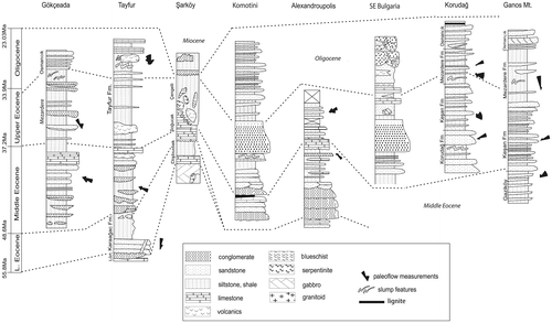 Figure 2. Stratigraphic sections and correlations in the studied areas. For section location, see Figure 1. Palaeoflow measurements are shown in each section. Geological timescale from Gradstein, Ogg, and Smith (Citation2004).