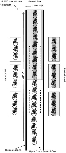 Figure 1. Top view of the schematic diagram showing open flow and shaded flow treatments with two static (open vs shaded) treatments.