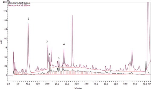 Figure 3. HPLC Chromatogram of phenolic acids after alkaline hydrolysis at 280 nm and 329 nm. p-hydroxybenzoic acid (peak 2), vanillic acid (peak 3), caffeic acid (peak 4), p-coumaric acid (peak 5), and epicatechin (peak 6).