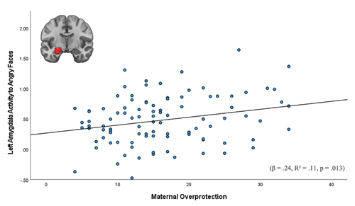 Figure 3. Association between adolescent-reported maternal overprotection and left amygdala activity to angry faces.