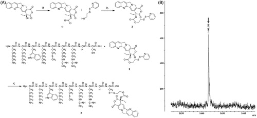 Figure 2. Synthetic procedure for CPP–CPT conjugate (A) and its MALDI-TOF mass spectra (B).