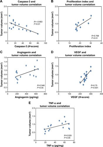 Figure 8 Scatter plots of significant correlation between tumor volume and caspase-3 (A), proliferation index (B), angiogenin (C), VEGF (D) and TNF-α (E) in sildenafil-treated group.