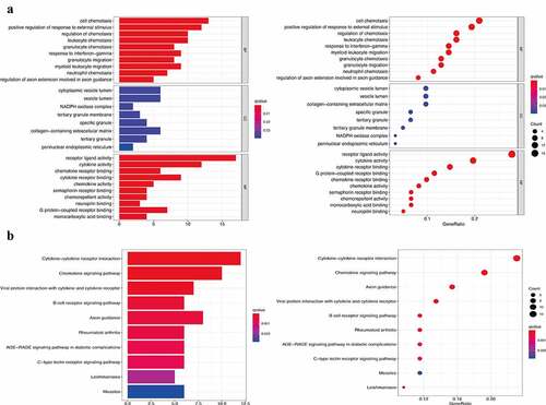 Figure 5. Functional enrichment analysis of 82 immune signature genes. (a) Top 10 classes of GO enrichment terms in biological process (BP), cellular component (CC), and molecular function (MF). (b) Top 10 classes of KEGG enrichment terms. In each bubble plot, the size of the dot represents the number of enriched genes