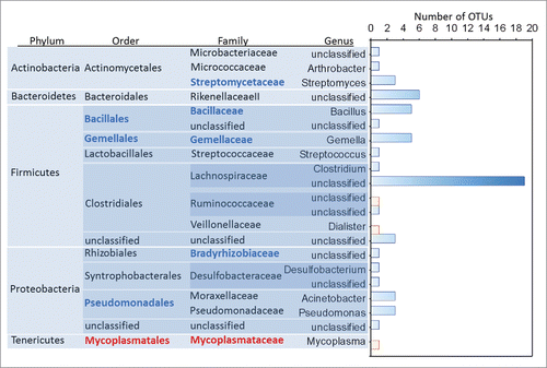 Figure 2. Bar chart showing the number of OTUs (x-axis) grouped by genus, and their taxonomic relationships that were negatively (blue) and positively (red) correlated to the severity of the IVP (n = 38) reported by those participants that reported pain in response to the test solution. Higher order taxonomic groups which significantly correlated to IVP are in bold font in blue (negative correlation) and red (positive correlation).