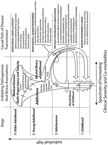Figure 2. Bugle-shaped ACES comorbidity pathway. Diagrammatic conceptualization of a neuroscience-informed causal pathway through developmental stages that explains how and why the ACE-Q literature broadly associates adverse childhood experiences with a wide range of adult mental illnesses, addictions, and medical comorbidities. In (1) childhood and (2) adolescence, adverse rearing environments, impaired parental behavior, and attachment failures are biologically neurotoxic to the developing brain, resulting in preclinical or emerging signs of mental illness (a arrow). In turn, mental illness-induced neurobiological vulnerability to drug addiction, leads to the onset of one or more addictions in adolescence and/or (3) young adulthood (b arrows), which further exacerbates the neurobiological and clinical dimensions of the underlying mental illness (c arrow). The mental illness/addiction comorbidity experienced during young adulthood results in chaotic reproduction and propagates down to the offspring, a new cycle of exposure to adverse rearing environments and parenting impairments. The later causal dynamic (handle of the Bugle shaped horn) represents both a transgenerational and trans-environmental-neurobiological cycle: the brain illness of the parent generates an adverse environment for the child; the adverse environment for the child causes brain illness that later manifests as adult mental illness, addiction, and impairments in parenting capabilities. With increasing age into older adulthood, the scope and severity of addictions and mental illness comorbidities worsen (the girth of the bugle enlarges) so that a larger scope and greater severity of multi-organ toxicities and injuries (i.e. chronic medical diseases) accumulate as consequences of addictions (d arrows), mental illness-induced behaviors (e arrows) and related neuroimmunological insults from early trauma.