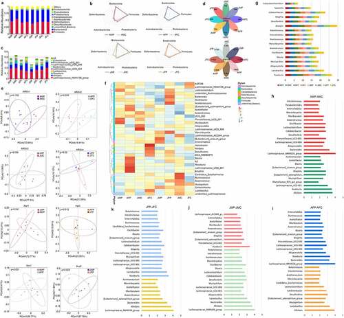 Figure 2. Effects of eARGs on the structure and abundance of the intestinal microbiota in mice. Histogram of the distribution of the top 10 species at the phylum level of mice in the different age and sex groups (a). Radar map of the distribution of the top 5 species at the phylum of mice in same age and sex groups (b). Histogram of the distribution of the top 10 species at the genus of mice in different age and sex groups (c). Petal diagram of observed species and species diversity (Shannon index) of the mice in each group (d). Principal coordinate analysis (PCoA) according to eARG addition or not, age, and sex in each group (e). Heat map of the distribution of species at the genus level and corresponding phylum level of the mice in each group (f). Histogram of the distribution of probiotics and pathogens of mice in the different age and sex groups (g). Histogram of the distribution of biomarker bacteria of mice in the same age and sex groups (h, i, j, k) .