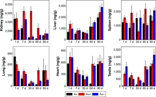 Figure 3 Biodistribution of Au, Au+, and Au− in the main organs at 1, 7, 30, 60, and 90 days after administration.Abbreviations: Au, gold; d, days.