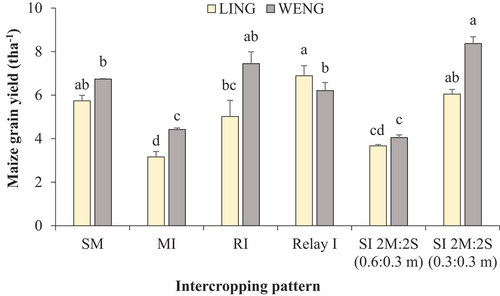 Figure 6. Grain yield of maize under different maize-soybean intercropping patterns. Within each location, values followed by different lower-case alphabetical letter represent significant differences between treatments at 5% significance level. Error bars indicate the standard error of three replicates. LING; Lingmethang, WENG; Wengkhar, SM; sole maize, MI; mixed intercropping, RI; row intercropping, relay I; relay intercropping, SI 2 M:2S (0.6:0.3 m): strip intercropping with two rows of maize alternating with two rows of soybean at 0.60-m row spacing and 0.30-m plant spacing and SI 2 M:2S (0.3:0.3 m): strip intercropping with two rows of maize alternating with two rows of soybean at 0.30-m row spacing and 0.30-m plant spacing.