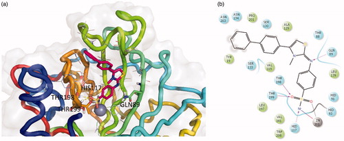 Figure 3. Three-dimensional representation of the putative binding mode as obtained by docking experiments of: (a) EMAC8002-i and (b) relative 2D representation of the complex stabilising interactions with the residues of the binding site.