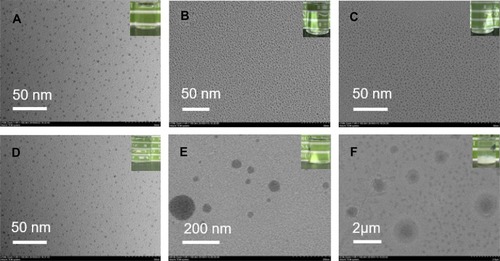 Figure 7 TEM of different nanoemulsion prepared by RPB and SE within 1 year.Notes: (A) Fresh sample prepared by RPB. (B) stored at 4°C for 1 year. (C) stored at 25°C for 1 year. (D) fresh sample prepared by SE. (E) stored at 4°C for 1 year. (F) stored at 25°C for 1 year.Abbreviations: TEM, Transmission electron microphotography; RPB, high gravity rotating packed bed; SE, self-emulsification method.