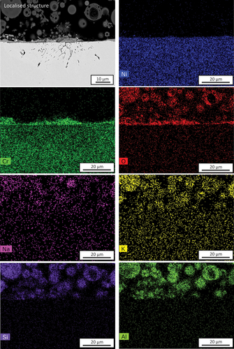 Figure 7. SEM-EDS mappings of 10 wt.% chloride salt +90 wt.% ash covered Ni-25Cr after 300 h reaction in Ar-60CO2-20 H2O at 650°C.