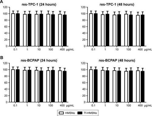 Figure S4 MSNs were nontoxic to thyroid cancer cell.Notes: (A, B) Cell viability of res-TPC-1 cells and res-BCPAP cells incubated with HMSNs and Tf-HMSNs at a maximum concentration of 400 µg/mL for 48 hours. All experiments were conducted in five identical wells and replicated three times.Abbreviations: HMSNs, hollow mesoporous silica nanoparticles; MSN, mesoporous silica nanoparticle; Tf-HMSNs, transferrin-conjugated HMSNs.