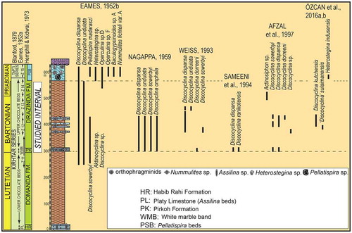 Figure 3. Generalised stratigraphy of Lutetian to Priabonian units in the Sulaiman Range with historical development of lithostratigraphic nomenclature and previous records of orthophragminids and associated LBFs. The studied interval is marked. Z refers to the ‘zones’ described by Eames (Citation1952b).
