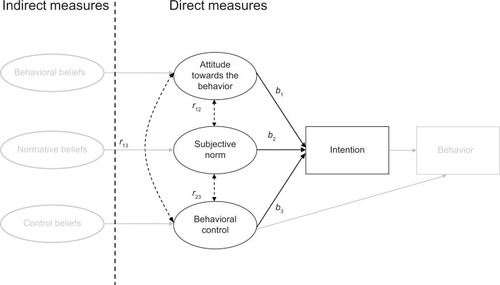 Figure 1 Schematic of the theory of planned behavior model.