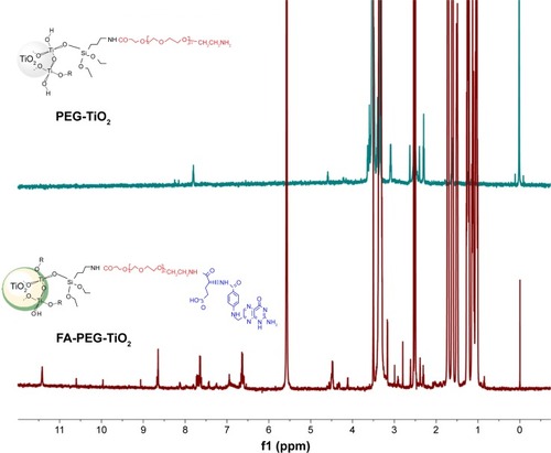 Figure 3 Proton nuclear magnetic resonance spectroscopy of PEG-TiO2 and FA-PEG-TiO2.Abbreviations: FA, folic acid; PEG, polyethylene glycol.
