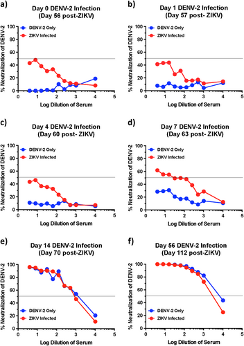 Fig. 3 ZIKV immune animals display delayed anamnestic cross-neutralizing antibody responses after DENV-2 infection.Kinetics of neutralizing antibody responses against DENV-2 using serum that was collected longitudinally from DENV-2 only (ZIKV naïve) and ZIKV-infected animals at (a) day 0, (b) day 1, (c) day 4, (d) day 7, (e) day 14, and (f) day 56 after DENV-2 infection (n = 5). Line represents 50% neutralization